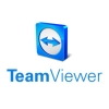 Teamviewer starten...